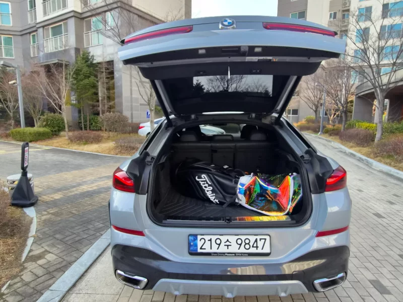 BMW X6