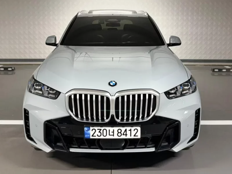 BMW X5