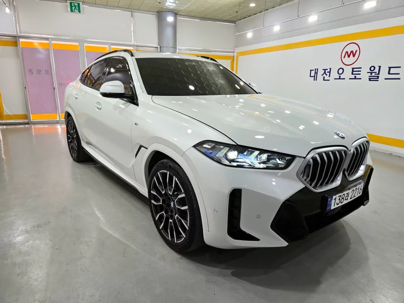 BMW X6