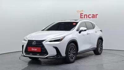 Lexus NX450h+