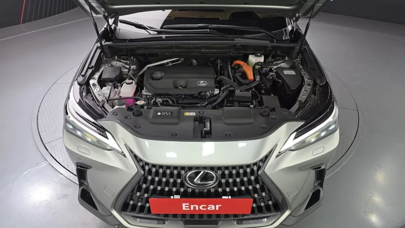 Lexus NX350h
