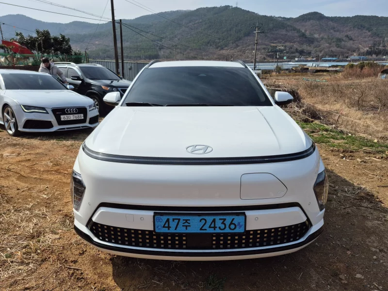 Hyundai Kona Electric