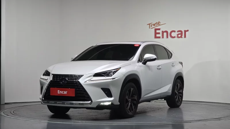 Lexus NX300h
