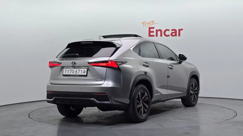 Lexus NX300h