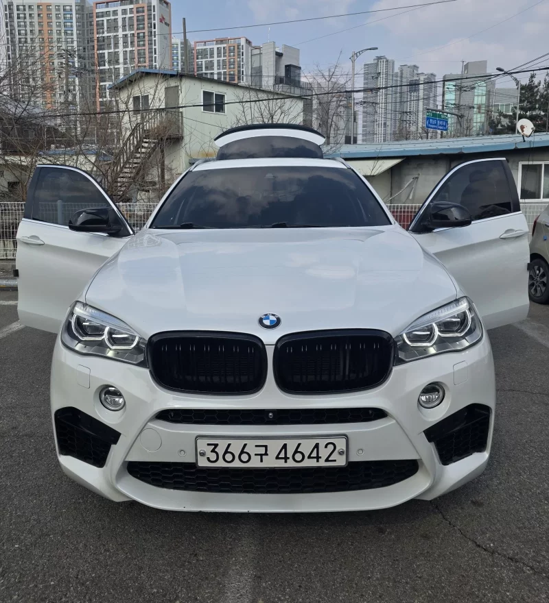 BMW X6