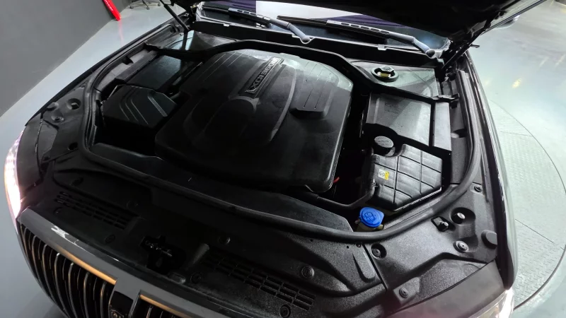 SsangYong Chairman W