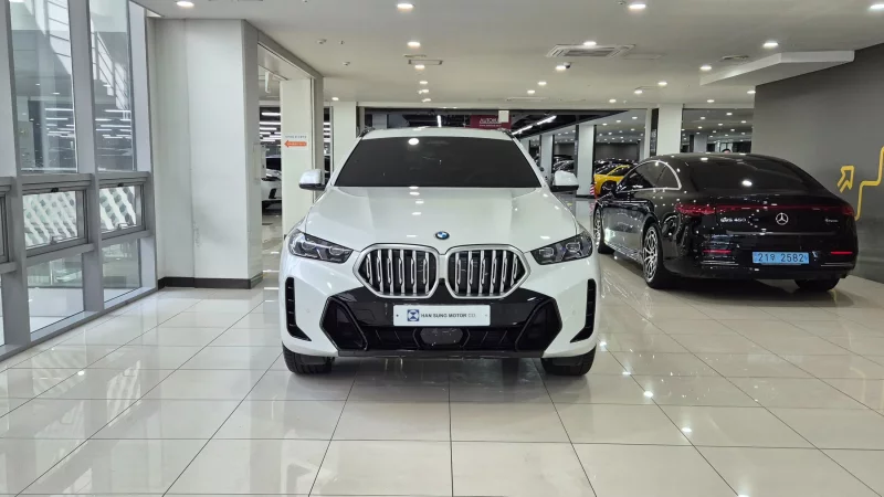 BMW X6