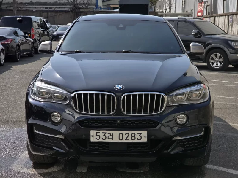 BMW X6