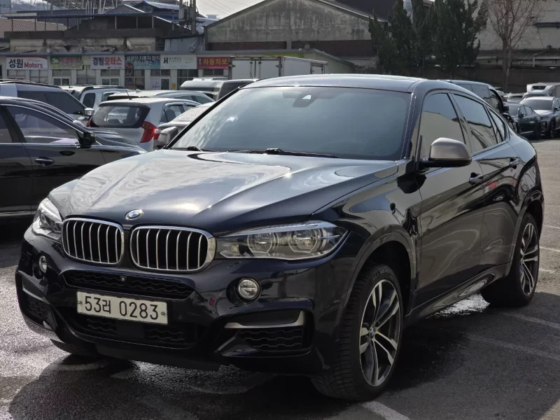 BMW X6