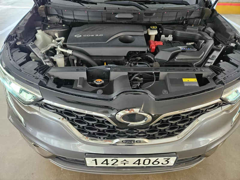 Renault QM6