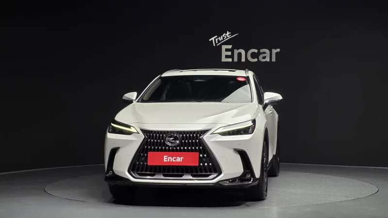 Lexus NX450h+