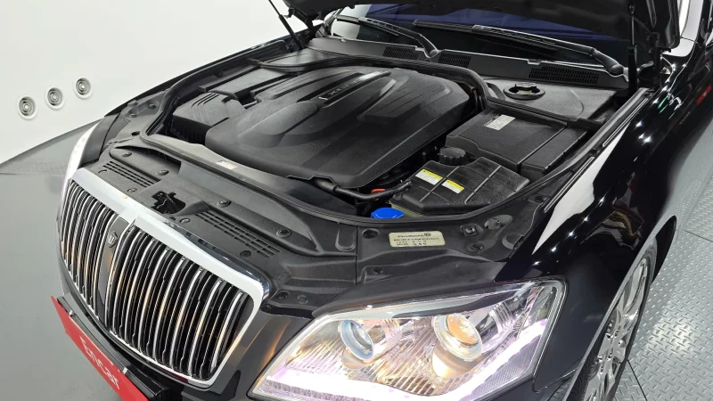 SsangYong Chairman W