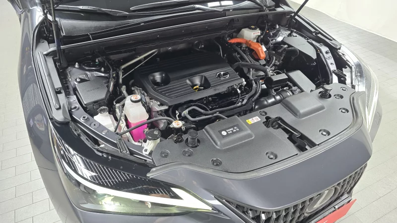 Lexus NX350h