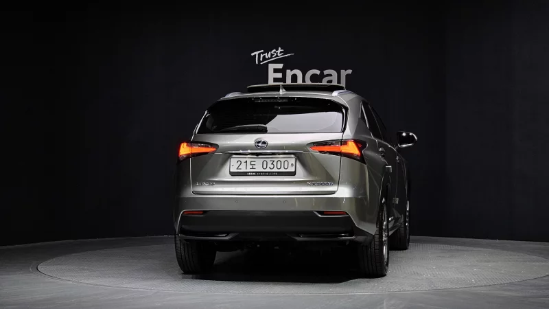 Lexus NX300h