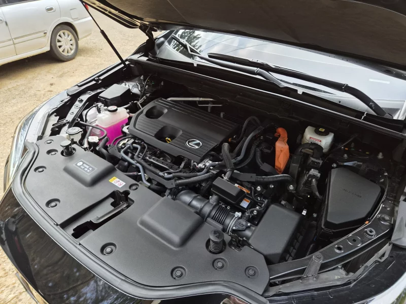 Lexus NX350h