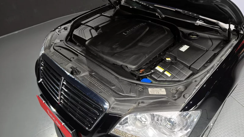 SsangYong Chairman W