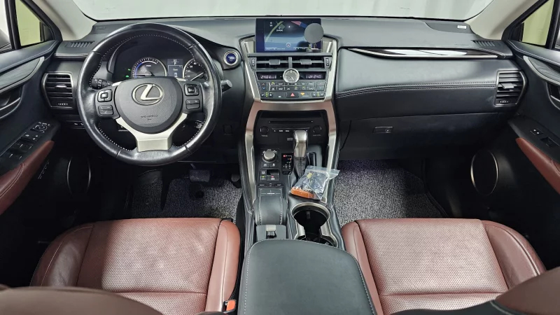 Lexus NX300h