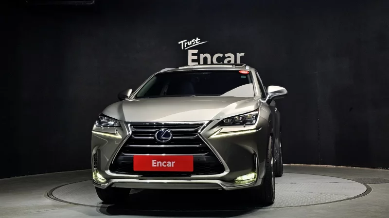 Lexus NX300h