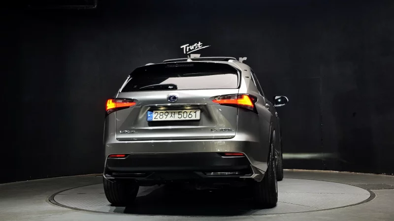 Lexus NX300h