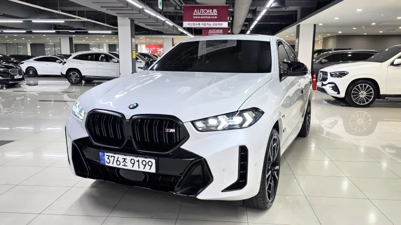 BMW X6