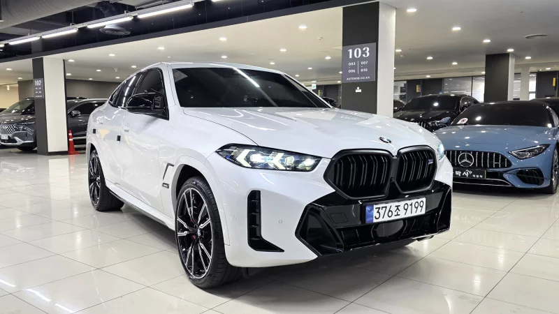BMW X6