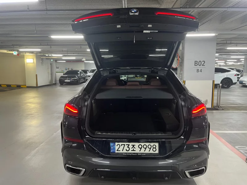 BMW X6