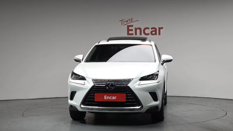 Lexus NX300h