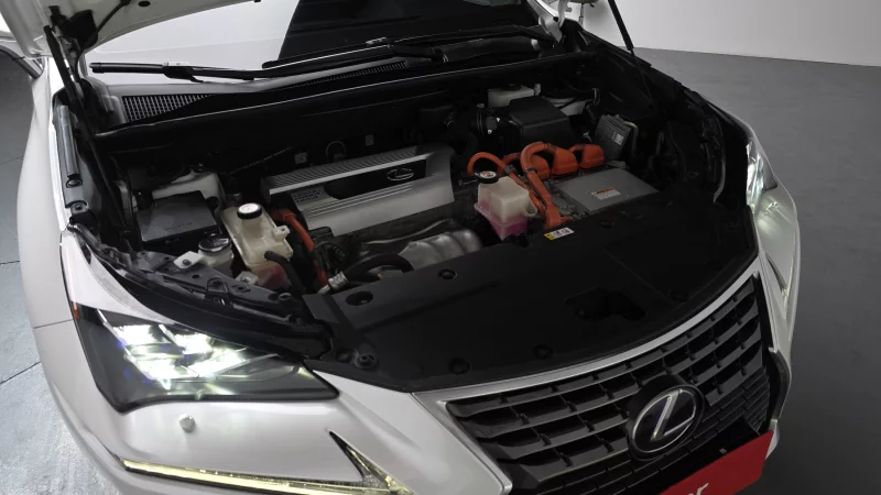 Lexus NX300h