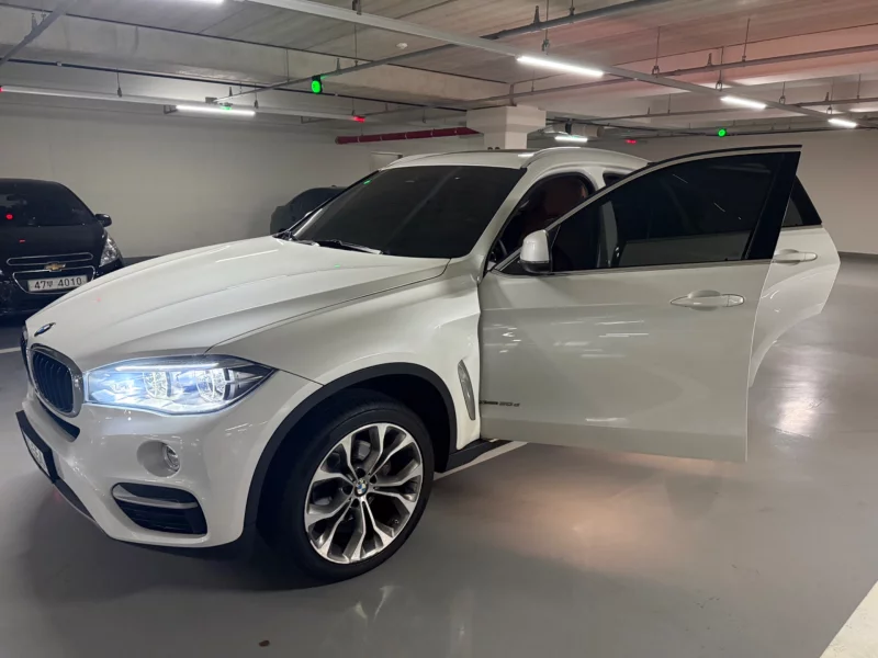 BMW X6