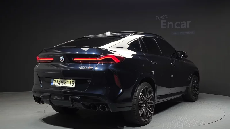 BMW X6 M