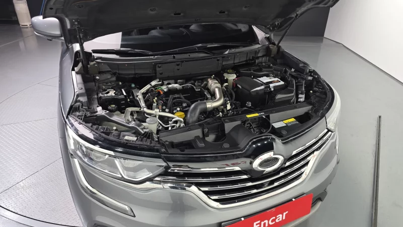 Renault QM6