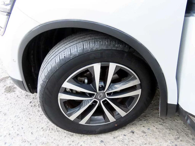 Renault QM6