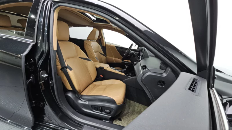 Lexus ES300h