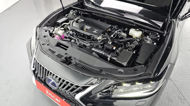 Lexus ES300h