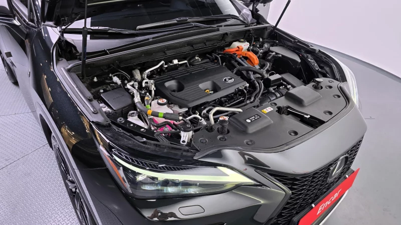 Lexus NX450h+