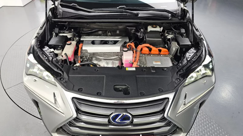 Lexus NX300h