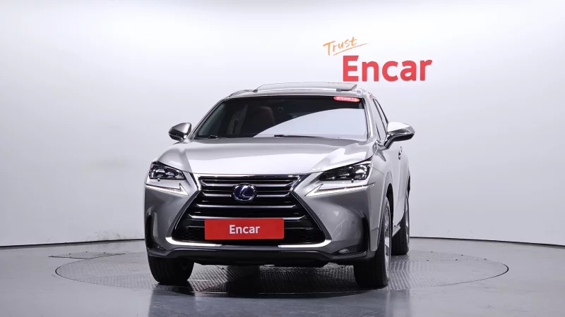 Lexus NX300h