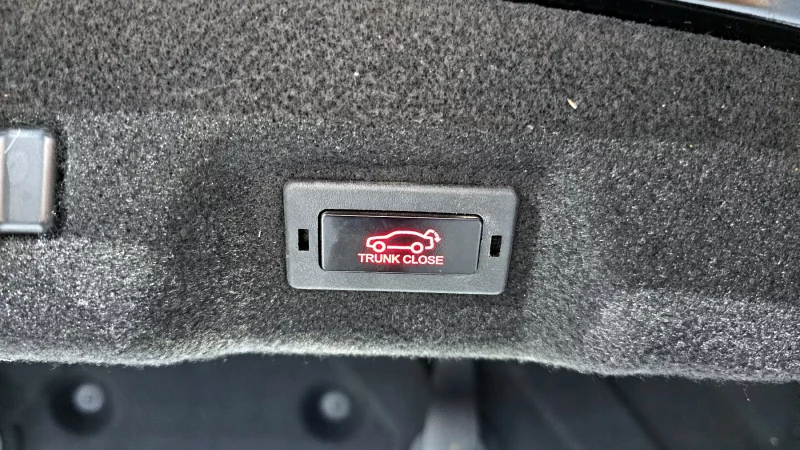 SsangYong Chairman W