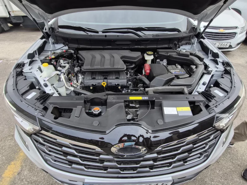 Renault QM6