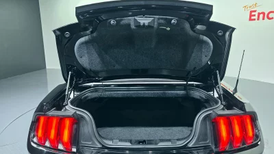 catalog-car-20
