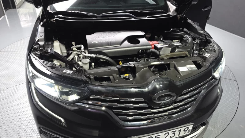 Renault QM6