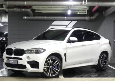 BMW X6 M