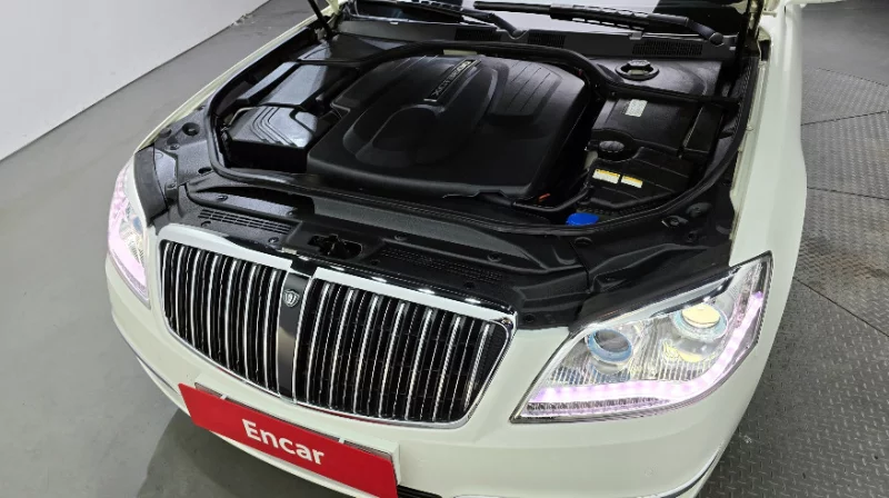 SsangYong Chairman W