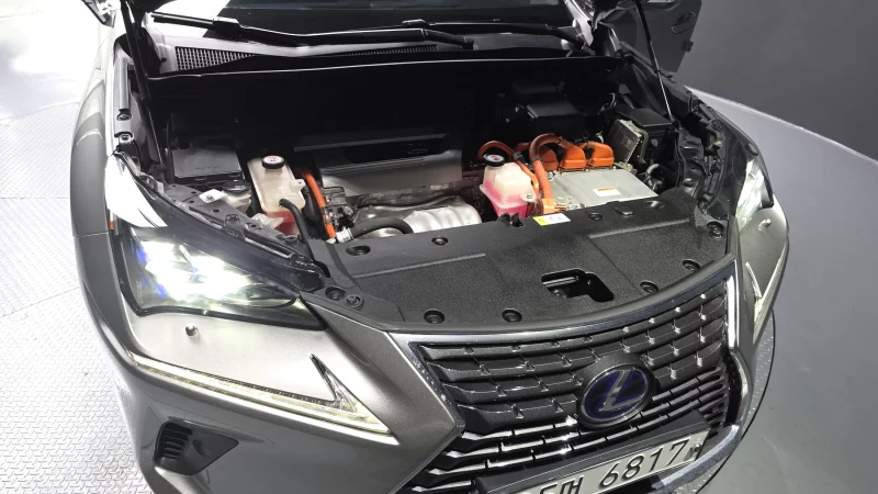 Lexus NX300h