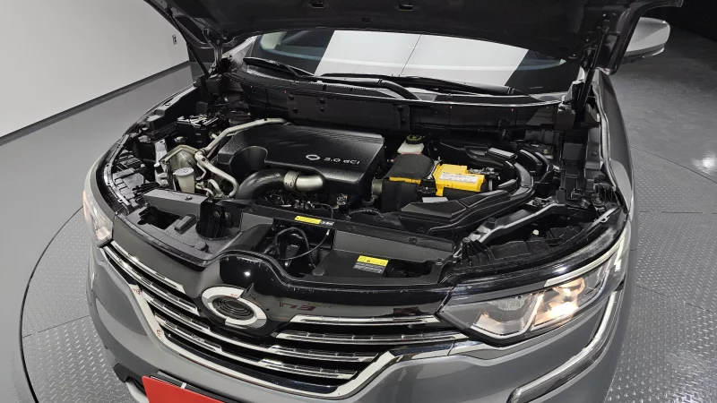 Renault QM6