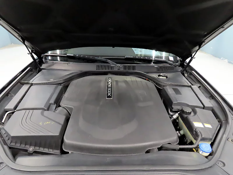 SsangYong Chairman W