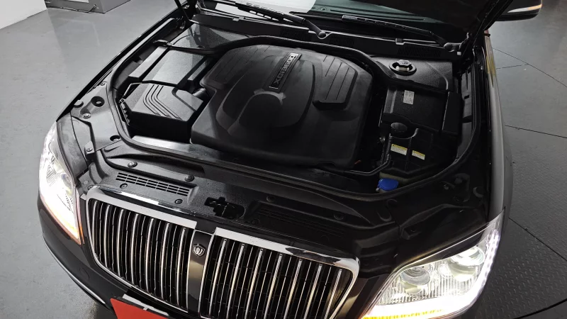 SsangYong Chairman W