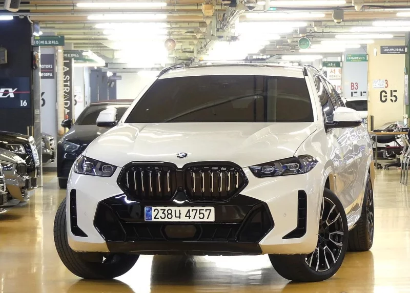BMW X6
