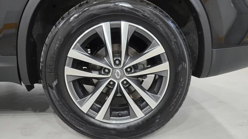 Renault QM6