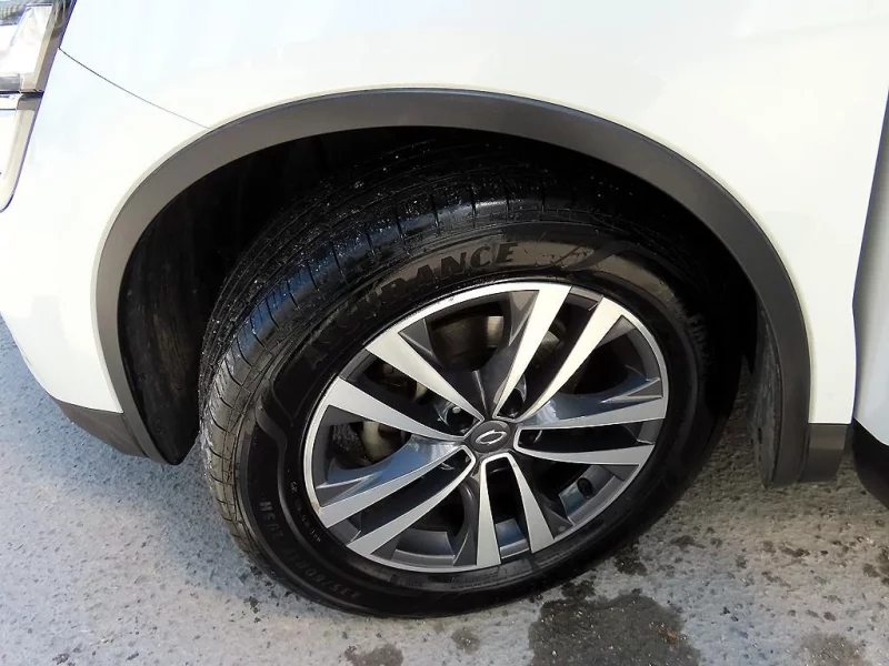 Renault QM6